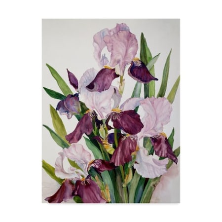 Joanne Porter 'Pink Maroon Iris' Canvas Art,14x19